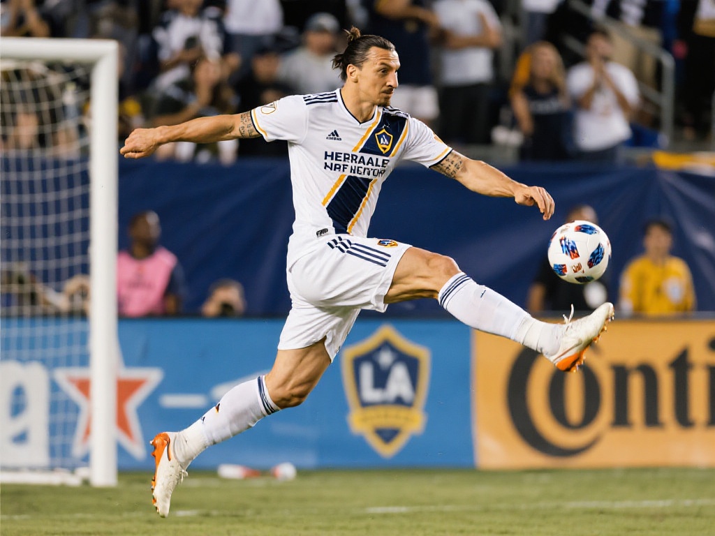 球星时往往 球星时往往